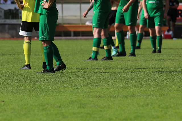 年轻球员的 年轻球员的