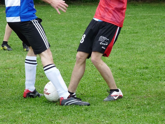 面已经建立 面已经建立