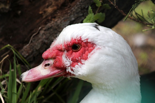 国际视野 国际视野