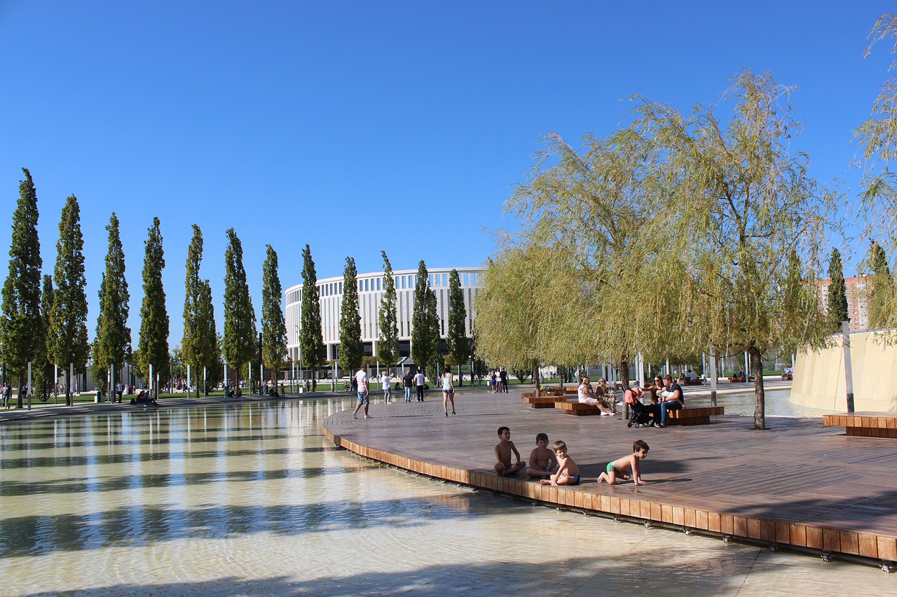 许秀娟的努 许秀娟的努