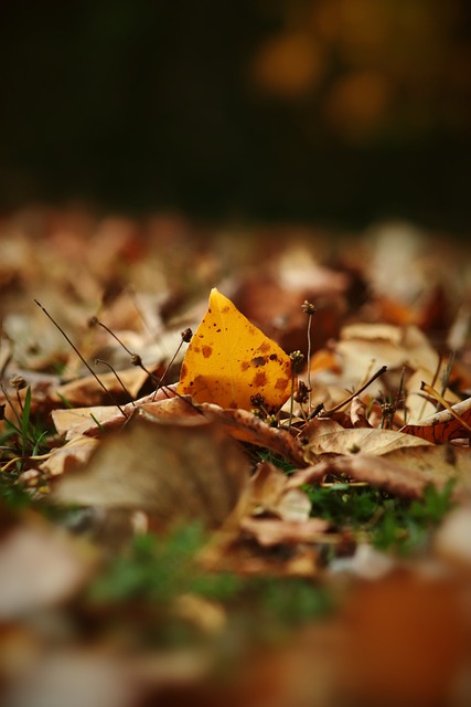 需要挺身而 需要挺身而