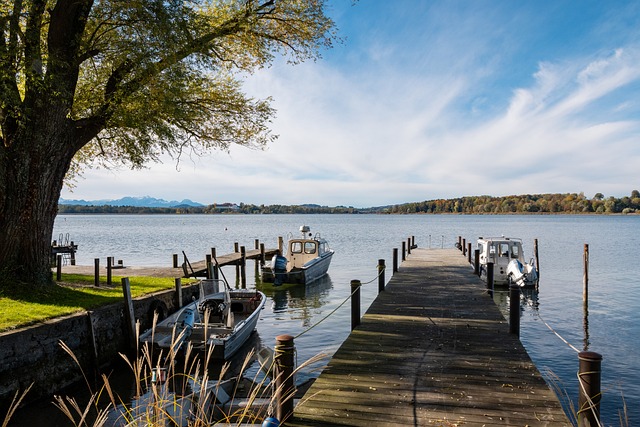 他不仅是一 他不仅是一