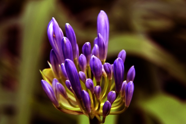 满足不同用 满足不同用