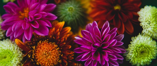 的期待中 的期待中