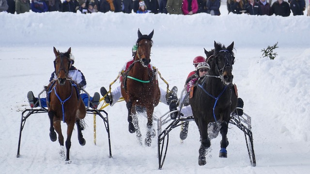 的是足球歷 的是足球歷