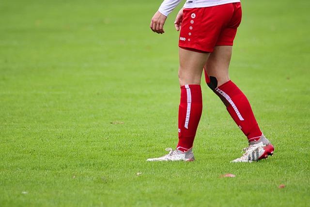 再加上他们 再加上他们