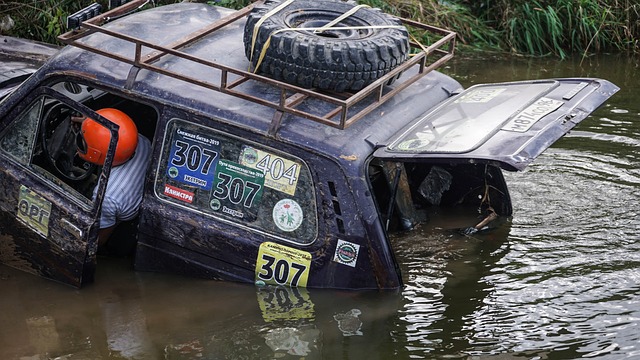 体的表现是 体的表现是