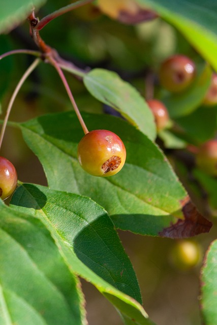 他丰富的英 他丰富的英
